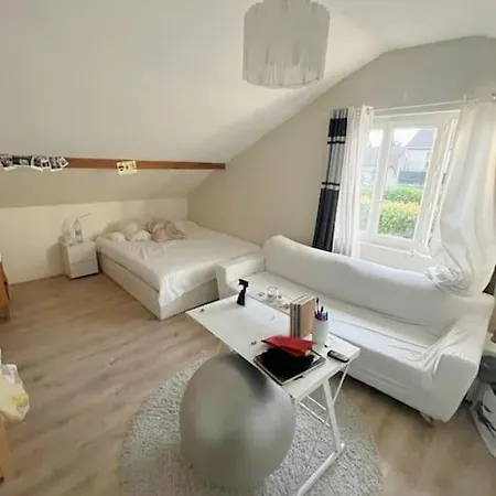 Apartment Maison Proche Paris Le Blanc-Mesnil